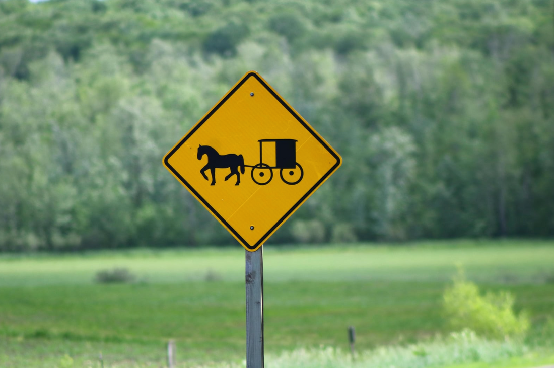 A Day in LaGrange County: Visit Our Lavender Apothecary and Indiana Amish Country