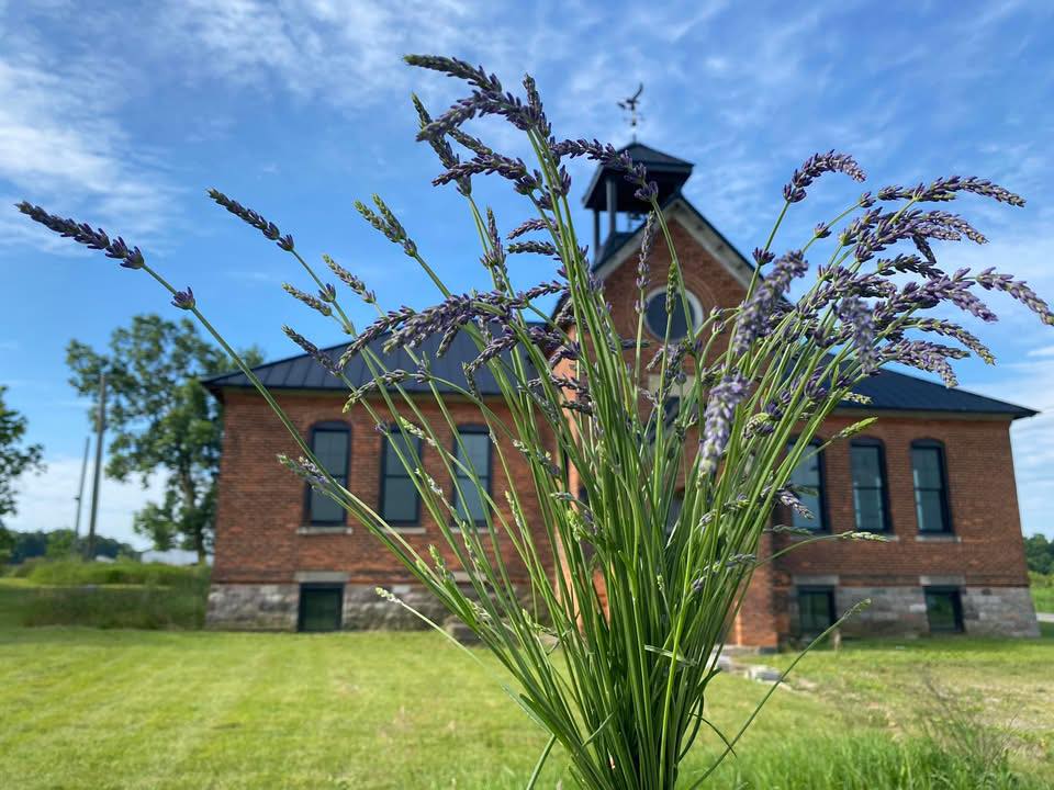 Preserving History: The Restoration of the Bloomfield Schoolhouse