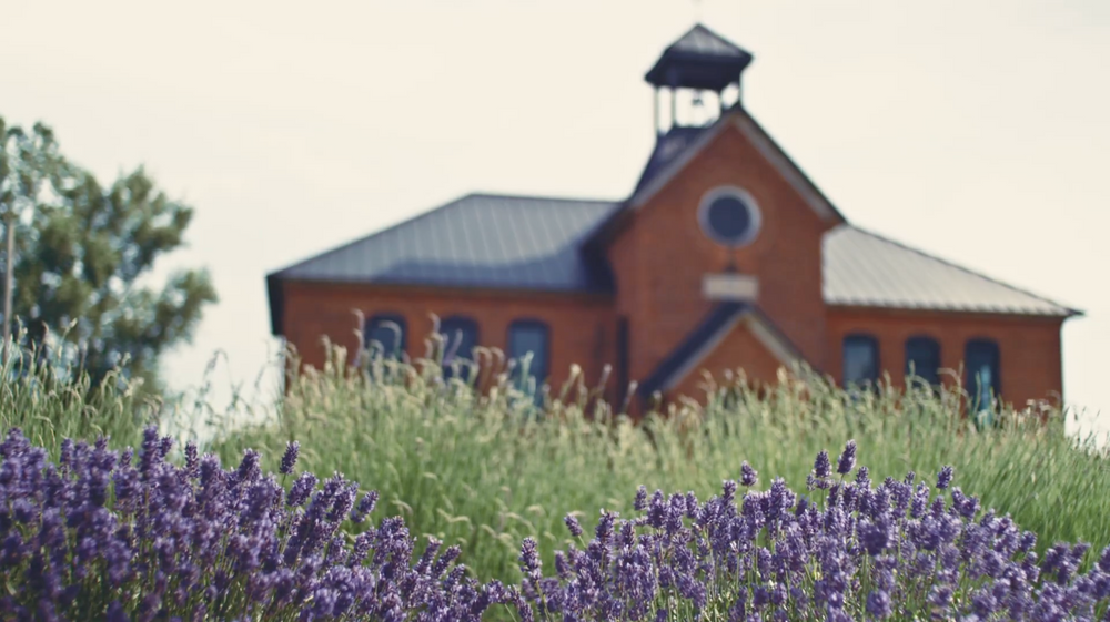 The Bloomfield Schoolhouse Groundbreaking Is August 11