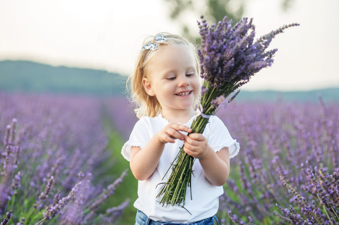 The Lavender Littles Collection: Gentle Lavender Care for Kids