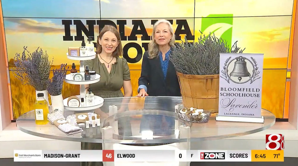 Marion Made an Appearance on WISH-TV Daybreak