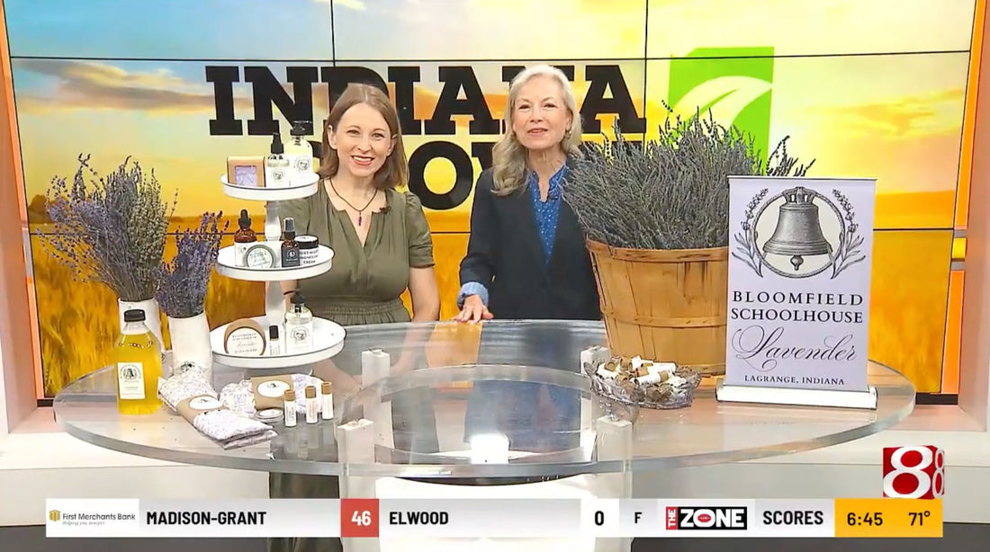 Marion Made an Appearance on WISH-TV Daybreak