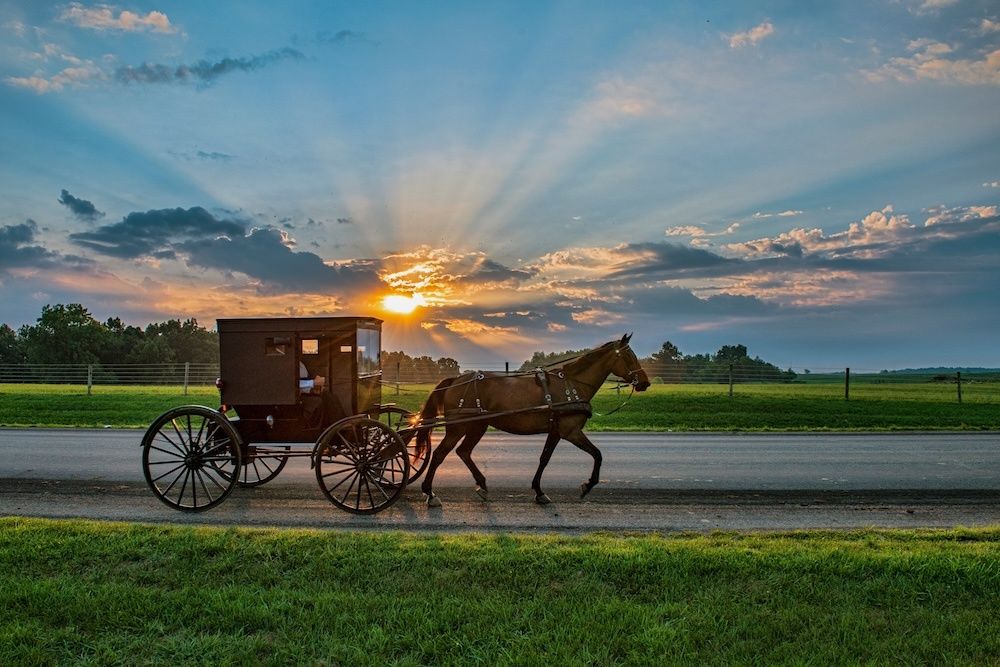A Chicago Tribune Feature and a Guide to Visiting LaGrange County