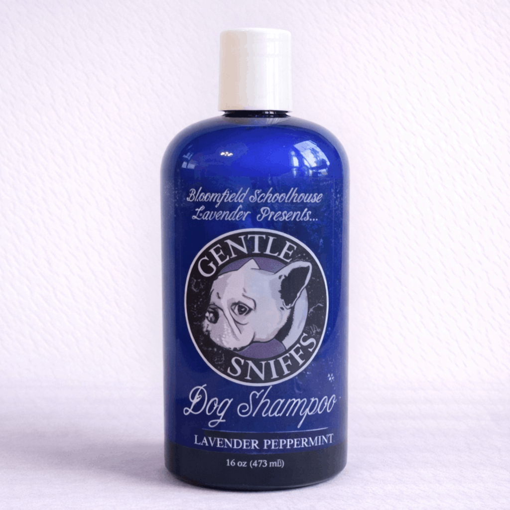 Gentle Sniff Dog Shampoo