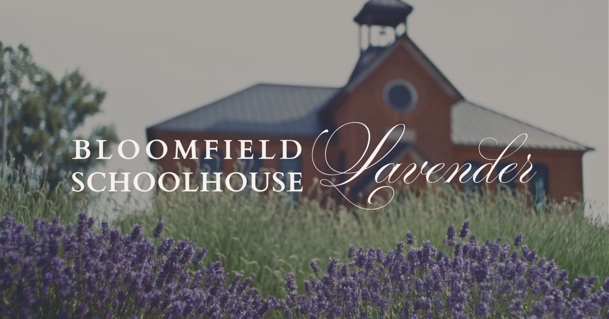 Bloomfield Schoolhouse Lavender photo
