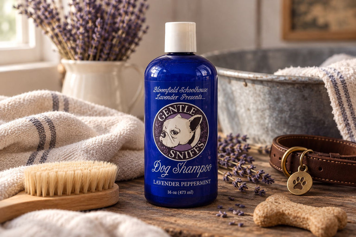 Gentle Sniff Dog Shampoo