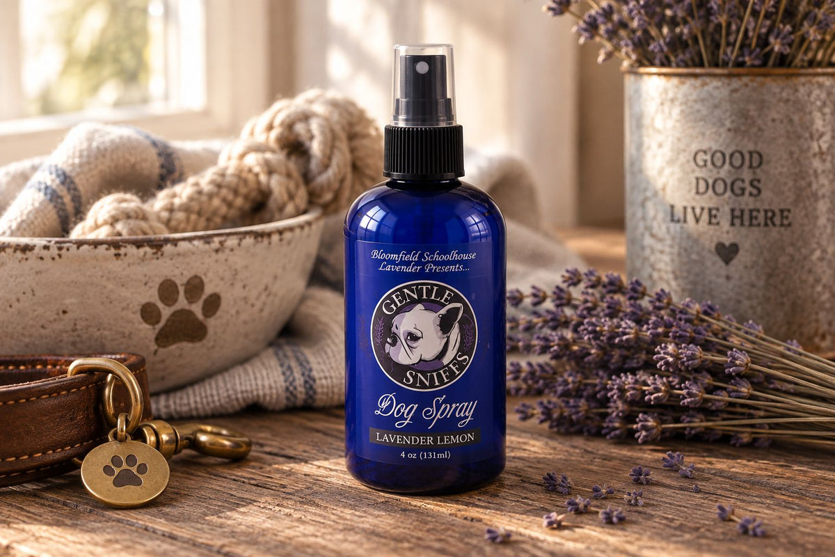 Gentle Sniff Dog Spray